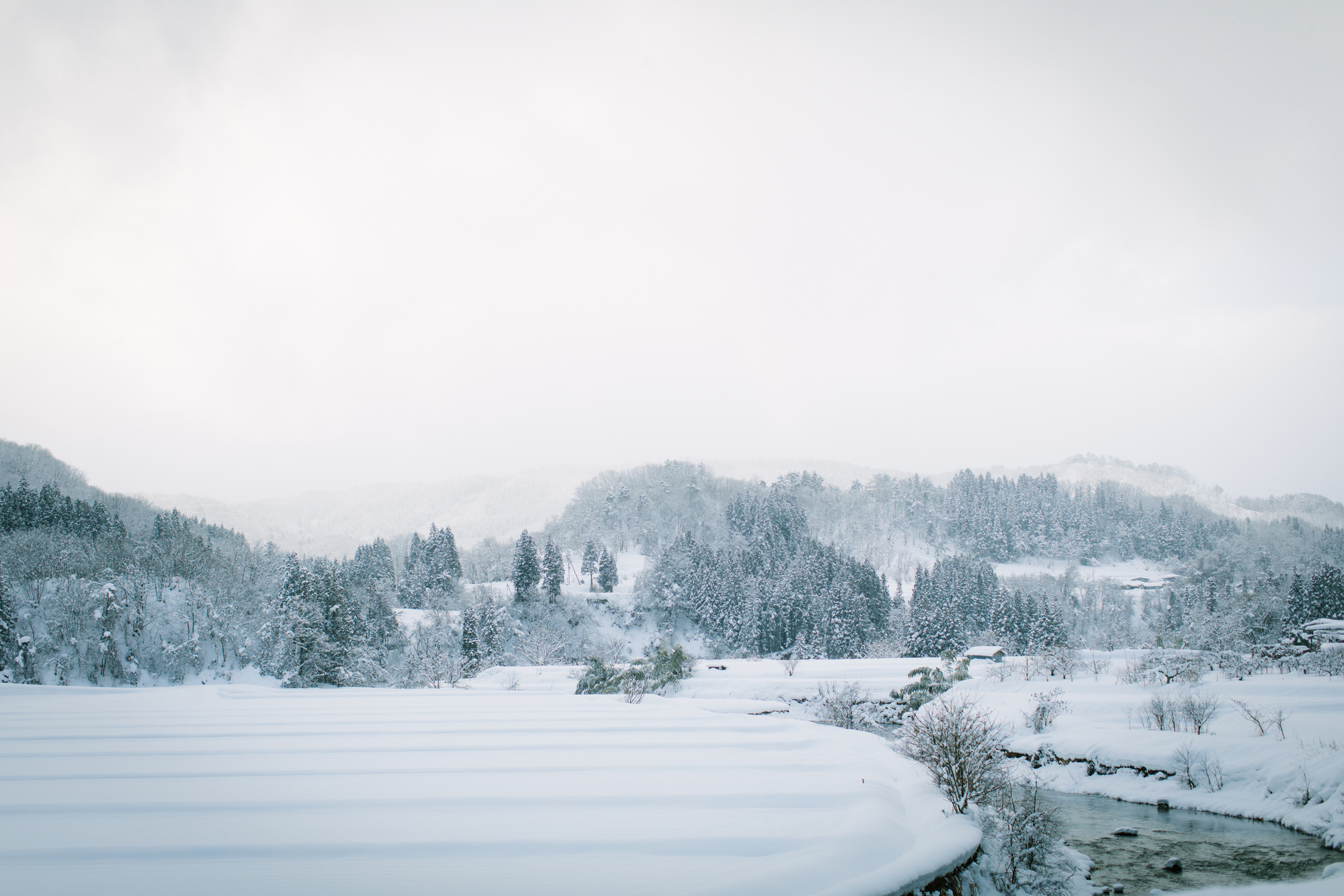 雪景色