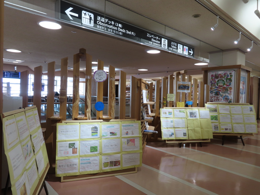 本郷東全体