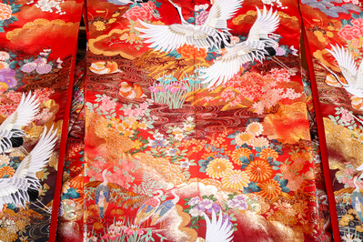 錦庵9