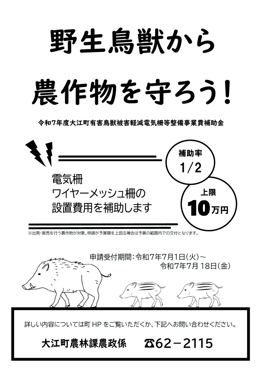 チラシ