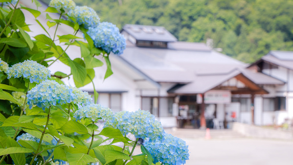 柳川温泉