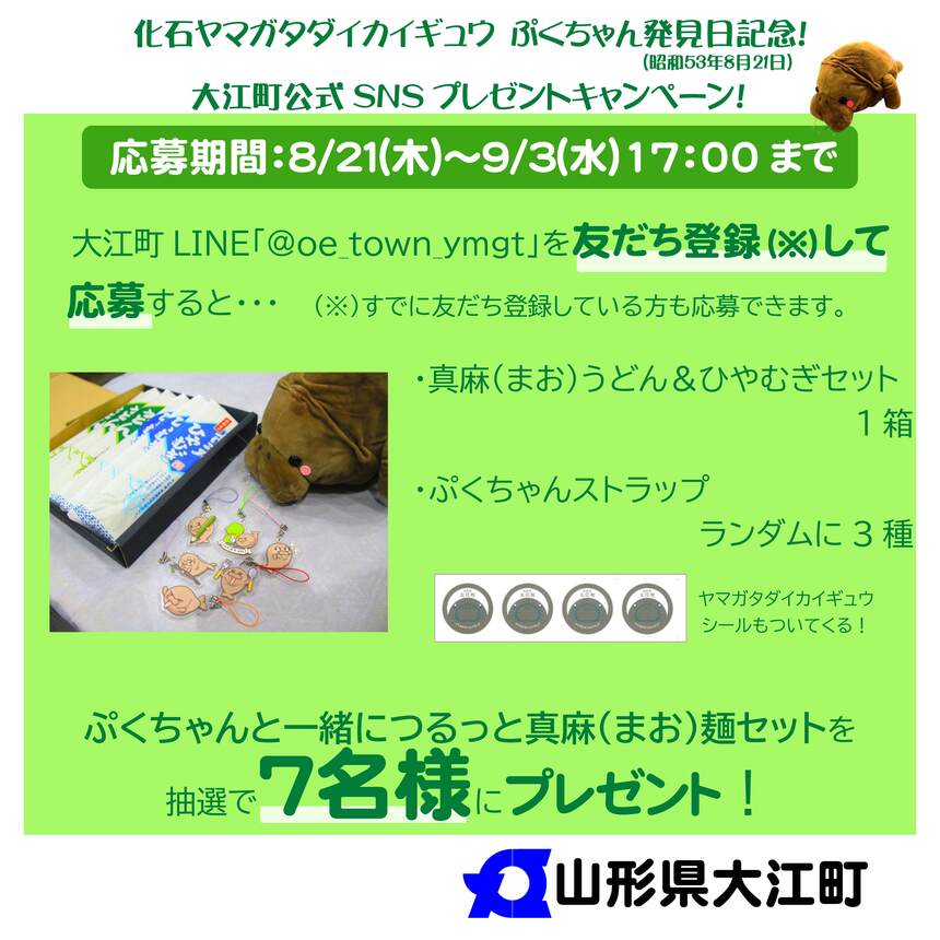 新画像1