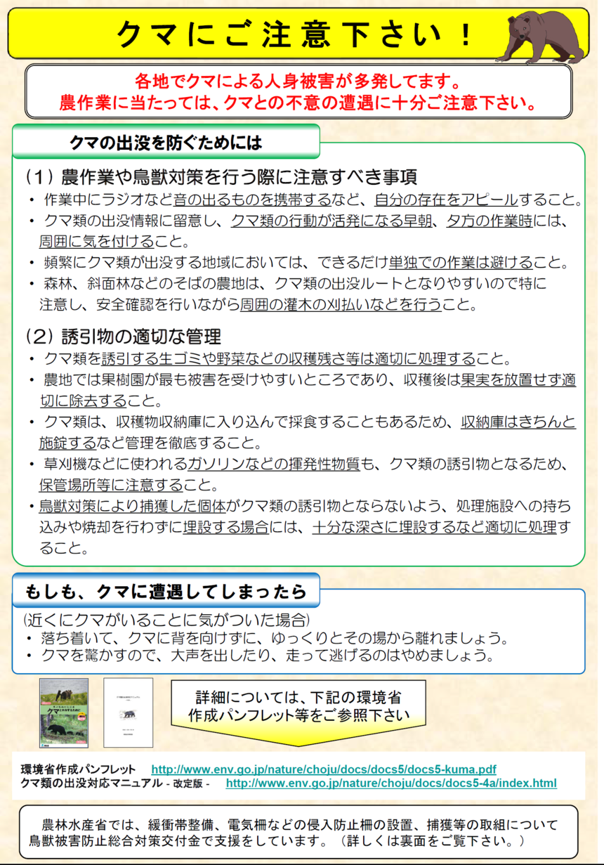 チラシ表