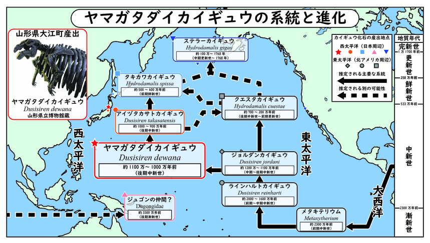 進化系統図(2024年)