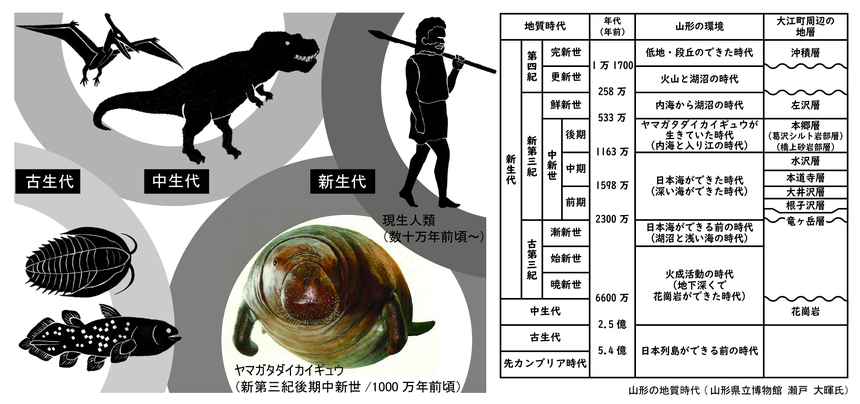 地質年代説明図
