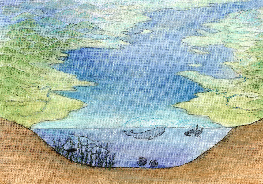 当時の海イメージ図