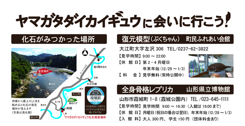 ヤマガタダイカイギュウに会いに行こう