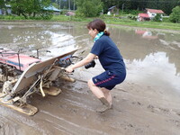 やぎ田植え