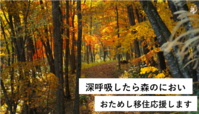 おためし移住アイキャッチ